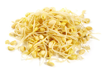 Soy Beans Sproutes on white Background Isolated