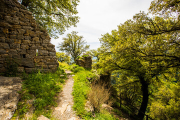 Fototapeta na wymiar Spring landscape in Falgars D En Bas, La Garrotxa, Spain