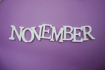 Fototapeta premium November alphabet letter with space copy on Purple background