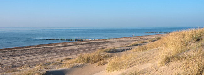 dunes and almost deserted beach on dutch coast near renesse in zeeland under blue sky - 425735299