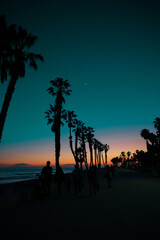 nightsky los angeles