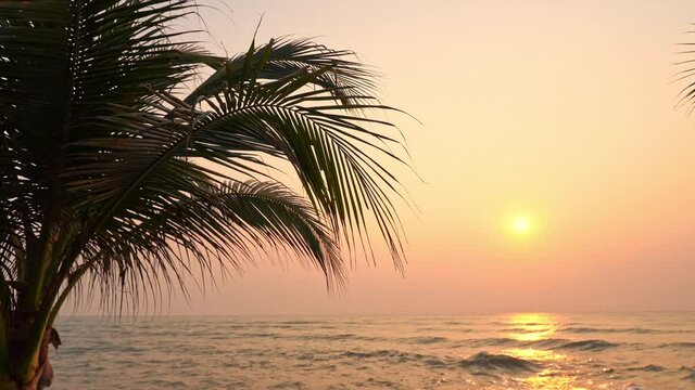 Silhouettes of tropical trees, golden hour sunlight above caribbean sea skyline, magical exotic vacation scenery
