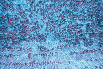 Fototapety na wymiar - Fototapeta24.pl