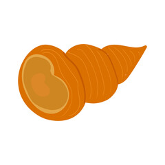 Vector illustration of a vibrant heart. Abstract hand drawing heart on white background