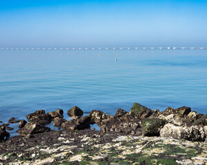 zeelandbrug under blue sky in water landscape of zeeland in holland