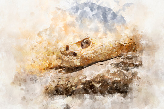 watercolor, Beautiful snake lying in the sun with fine scales on their skin