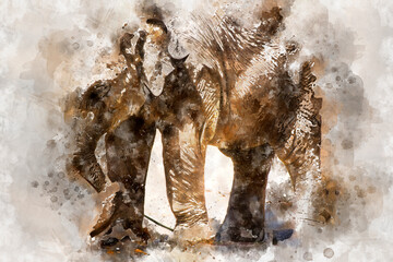 watercolor, baby elephant playing with a log of wood