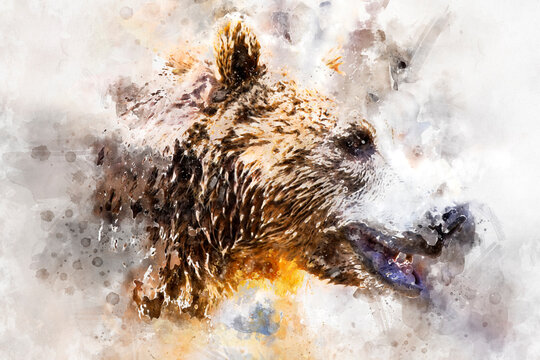 watercolor, Predator, beautiful and furry brown bear, mammal