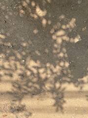 Abstract shadow Texture picture
