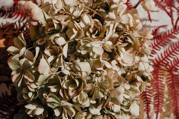 dried flowers