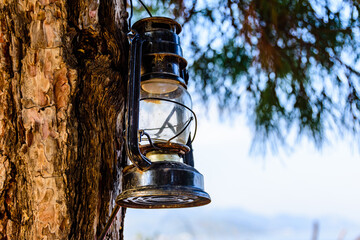 Old kerosene lamp hanging on branch of the tree