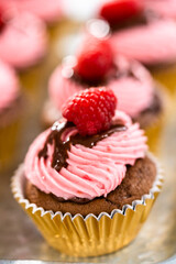Chocolate raspberry cupcakes