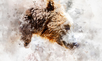 watercolor drawing of a brown bear, wild animal