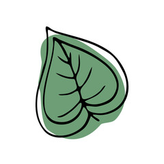 Naklejka premium Hand-drawn doodles with leaves. botanical vector of leaves in line art or contour style