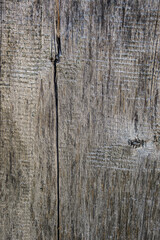 Texture Of Old Wooden Planks. Close-up. Vertical.