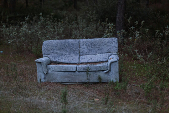 Sofa abandoned in the forest.