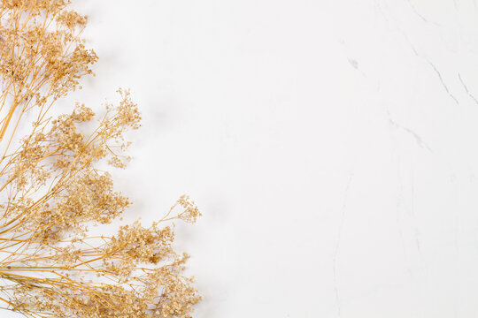 Gypsophila paniculata seca sobre un fondo de textura de m&aacute;rmol. Vista superior. Copy space