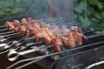 shish kebab on the barbecue