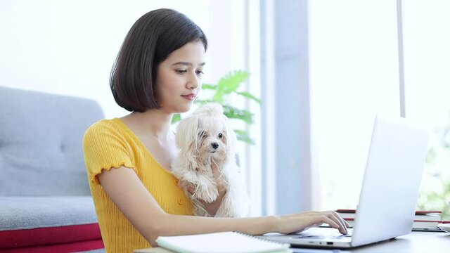 A girl is using a laptop computer with a maltese dog on sofa