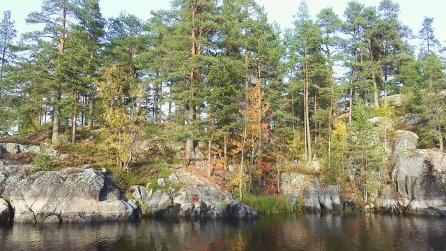 Baltic crystalline shield, esker. Glaciated landscape (glacial plaining). Stone cape, sheepback rock with small autumn birch, dwarf pines in North Ladoga lake (Ladoga skerries)