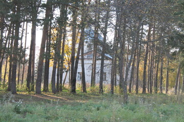 Obraz premium Нижегородская область, Россия, Ветошкино, усадьба Пашковых.