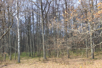 Nizhny Novgorod region, Russia, Krasnaya Glinka