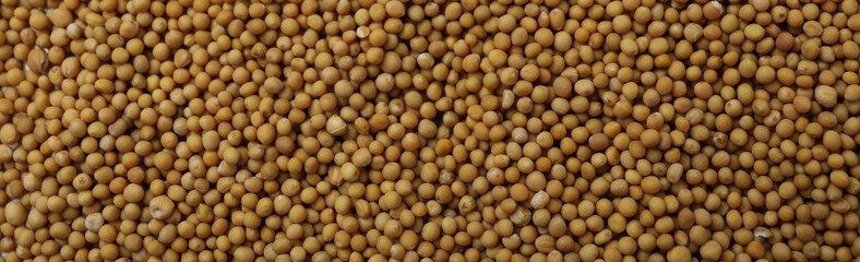 Mustard seeds on whole background, close up