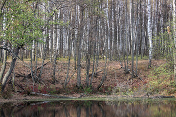 Fototapeta premium Nizhny Novgorod region, Russia, Krasnaya Glinka