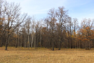 Nizhny Novgorod region, Russia, Krasnaya Glinka