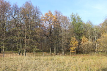 Nizhny Novgorod region, Russia, Krasnaya Glinka