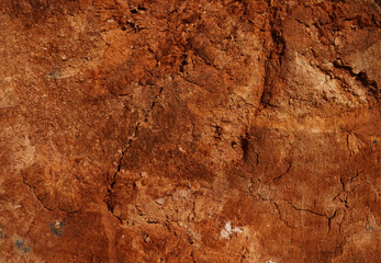 Natural background of red clay or old rotten wood