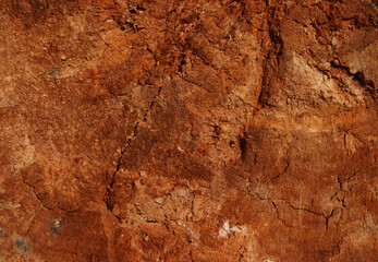 Natural background of red clay or old rotten wood