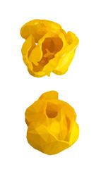Two vector yellow tulip flower isolated on white background. Bright sunny summer detailed and accurate design in  triangular low poly style. Floral design element.	