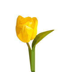 Vector yellow tulip flower isolated on white background. Bright sunny summer detailed and accurate design in  triangular low poly style. Floral design element.	