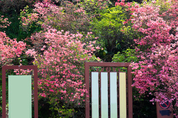 Spring scenery of Huangpi Mulan Yunwu Mountain in Wuhan, Hubei
