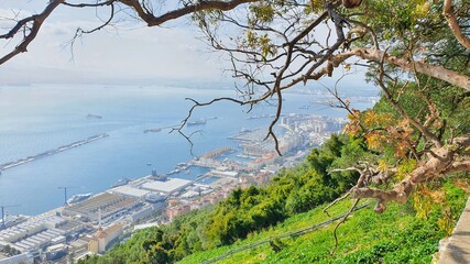 landscape with trees and mountains