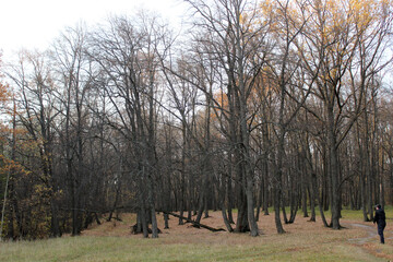 Nizhny Novgorod region, Russia, Krasnaya Glinka.