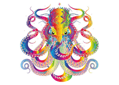 bunter Octopus mit Korallen,Muscheln & Seeanemonen