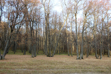 Nizhny Novgorod region, Russia, Krasnaya Glinka.
