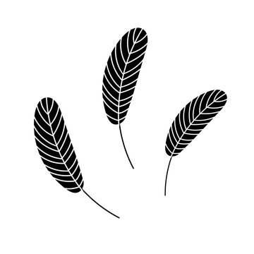 The silhouette of a bird's feather. Chicken or goose feather. Flat vector illustration