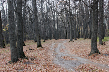 Nizhny Novgorod region, Russia, Krasnaya Glinka.