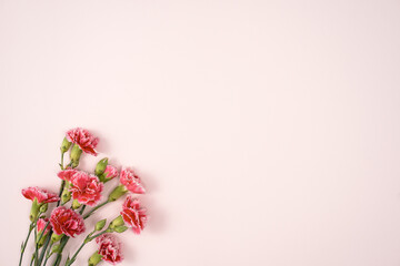 Design concept of Mother's day holiday greeting with carnation bouquet on pink table background