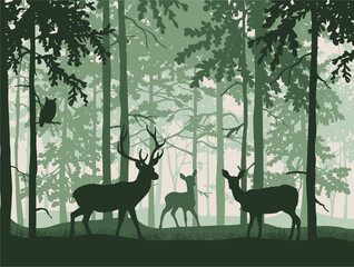 Deer with doe and fawn in magic misty forest. Owl on branch. Silhouettes of trees and animals. Green background, illustration. © Anna