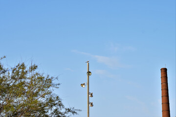Seagull on an illumination lamp post, clear blue sky, with some small cloud.
