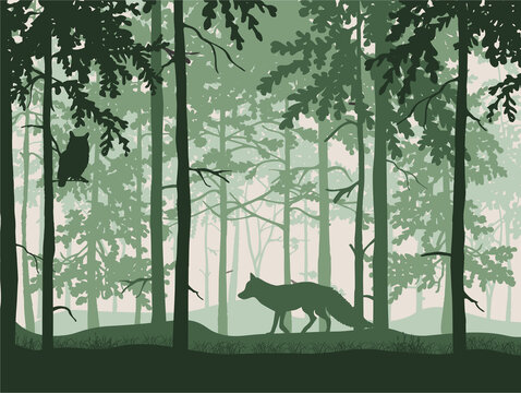 Wondering fox, owl on branch, forest background, silhouettes of trees. Magical misty landscape. Green illustration. 