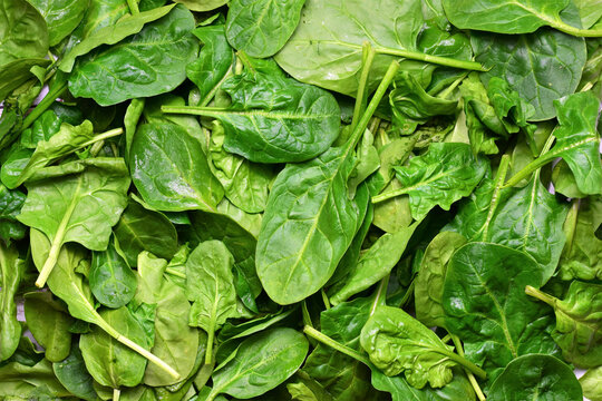 Spinach leaves, vegetables and healthy background. Zenith view.