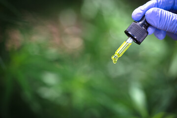 CBD hemp oil, Hand holding bottDrops of Hemp oill, CBD cannabis oil in pipette,    medical marijuana  concept.e of Cannabis oil in pipette.  CBD Hemp oil, medical marijuana oil concept