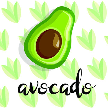 Avocado fruit vector, flat icon