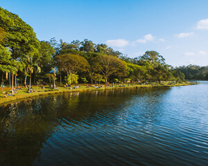 Fototapeta premium people enjoying a beautiful day at the park