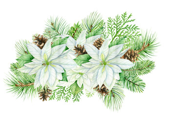 Watercolor christmas bouquet with white poinsettia flowers and pine cones. Botanical illustration isolated on white background. Perfect for cards, invitations, template